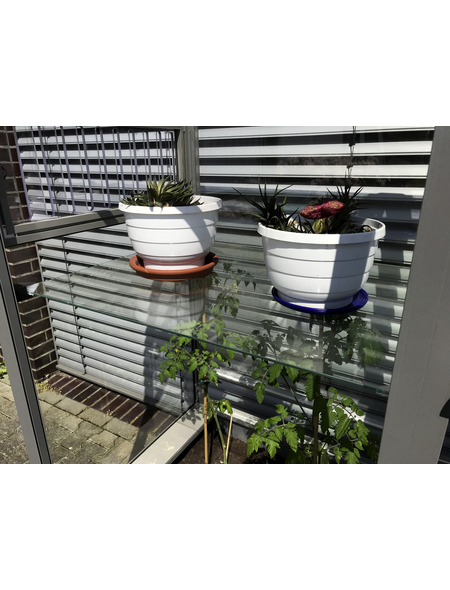 6/€//m/² PVC Folie Glasklar 200 x 150 cm Abdeckplane Schutzfolie Gew/ächshaus Schutz M/öbel Folie klar transparent