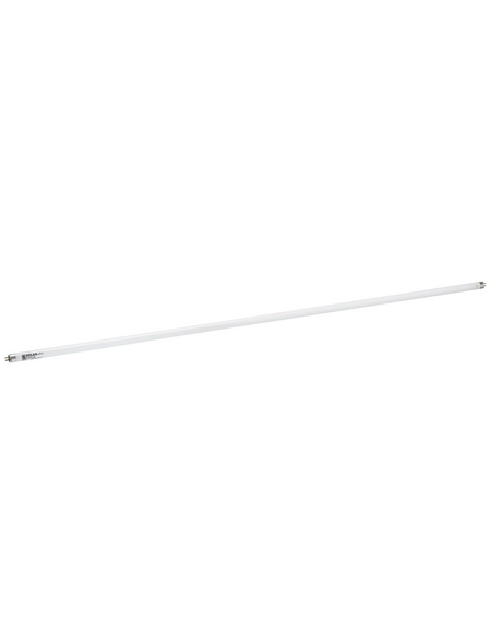 JBL Aquarien-Tageslichtröhre »NATUR«, LxØ: 104,7 x 1,6 cm JBL Aquarien-Tageslichtröhre »NATUR«, LxØ: 104,7 x 1,6 cm