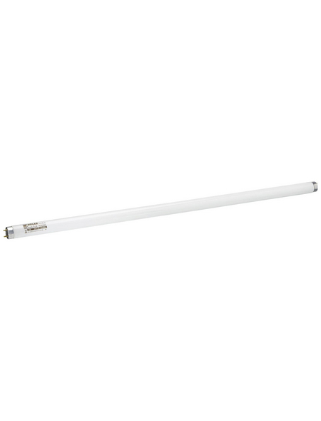 JBL Aquarien-Tageslichtröhre »NATUR«, LxØ: 74,2 x 2,6 cm, tageslichtweiß
