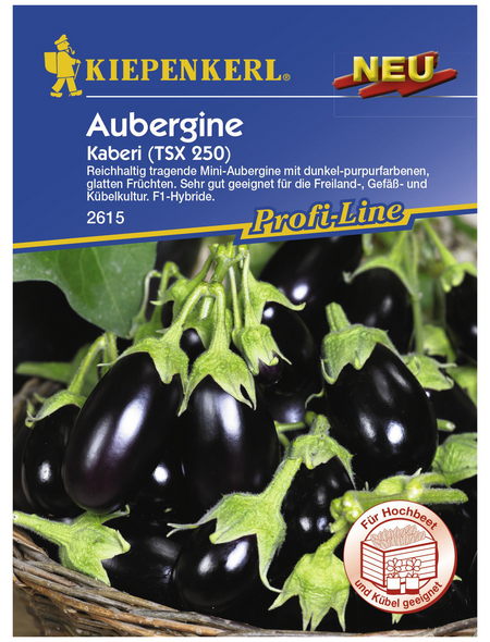 KIEPENKERL Aubergine melongena Solanum