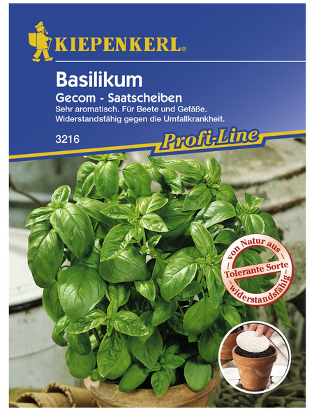 KIEPENKERL Basilikum basilicum Ocimum