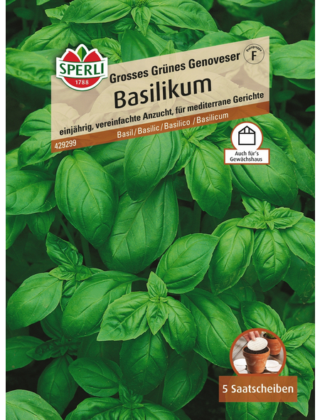 Sperli GmbH Basilikum »Großer Grüner Genoveser«, einjährig, großblättrige Sorte im Typ „Genoveser“