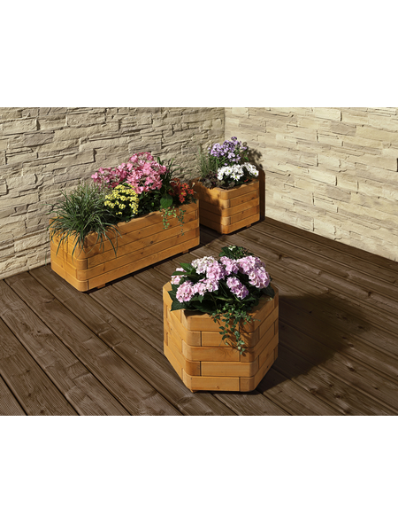 MR. GARDENER Blumenkasten, Breite: 90 cm, Holz - Hagebau.de