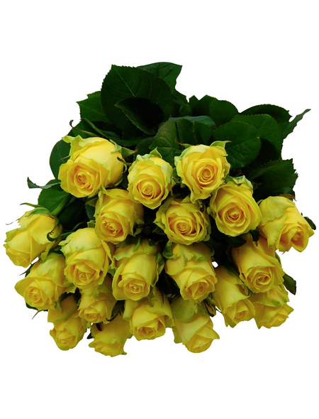  Blumenstrauß »Rose «, Ø 35 cm