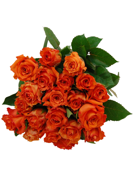  Blumenstrauß »Rose«, Ø 36–40 cm