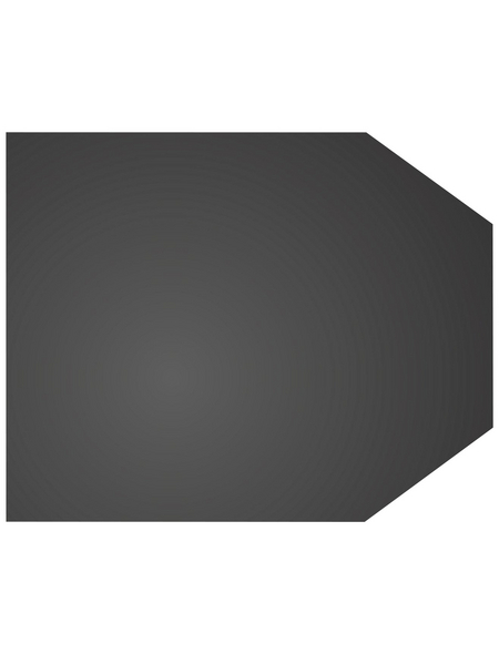 COLOR Bodenplatte, sechseckig, BxL: 100 x 80 cm, Stärke: 1,5 mm, schwarz