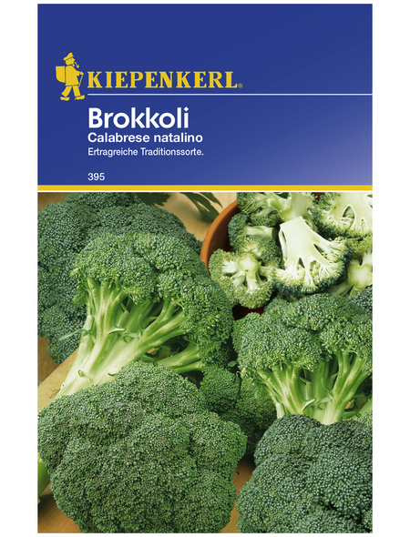 KIEPENKERL Brokkoli Brassica oleracea var. italica »Calabrese natalino«