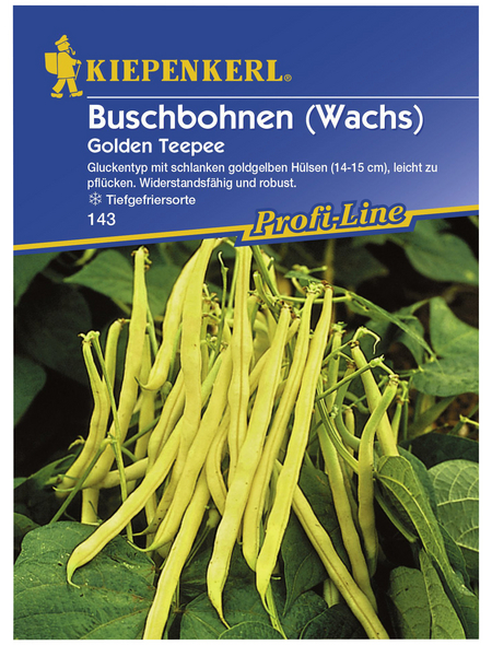 KIEPENKERL Buschbohne vulgaris var. Nanus Phaseolus