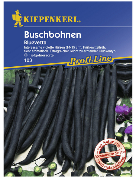 KIEPENKERL Buschbohne vulgaris var. nanus Phaseolus »Bluevetta«