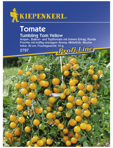 KIEPENKERL Cherry-Tomate lycopersicum Solanum »Tumbling Tom Yellow«