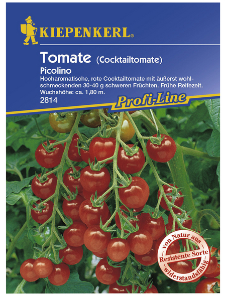 KIEPENKERL Cocktail-Tomate lycopersicum Solanum »Picolino«
