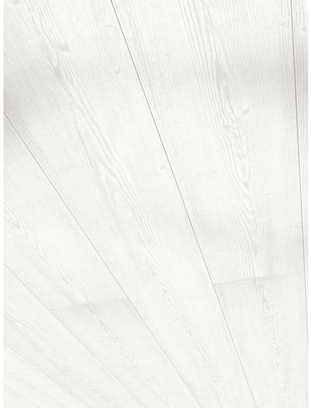 PARADOR Dekorpaneele »Rapido«, pinie weiß, Holzwerkstoff, Stärke: 12 mm