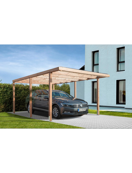 MR GARDENER Einzelcarport BxT X510 Cm Hagebau