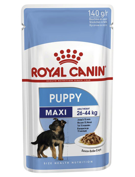 ROYAL CANIN Hunde-Nassfutter »SHN Maxi Puppy«, 140 g
