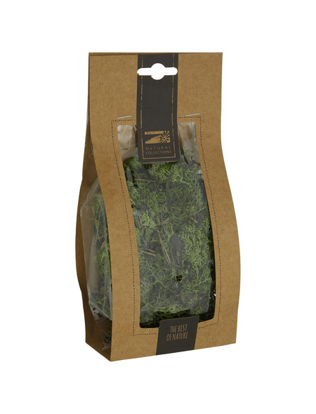 DIJK NATURAL COLLECTIONS Islandmoos grün 40 g DIJK NATURAL COLLECTIONS Islandmoos grün 40 g