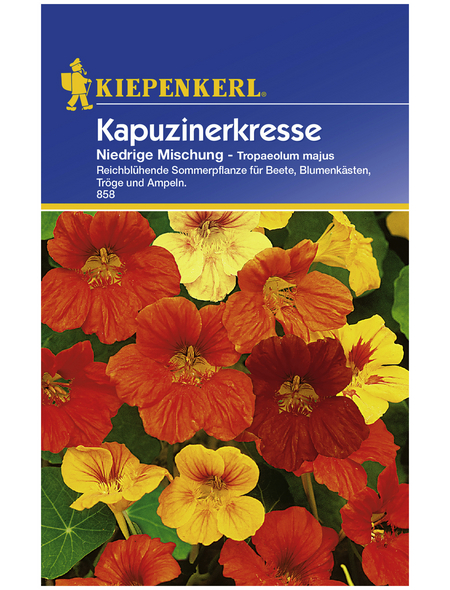 KIEPENKERL Kapuzinerkresse, Tropaeolum majus, Samen, Blüte: mehrfarbig