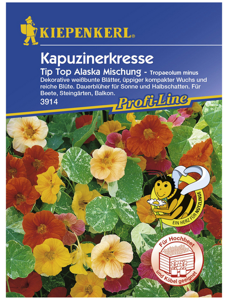 KIEPENKERL Kapuzinerkresse, Tropaeolum minus, Samen, Blüte: mehrfarbig
