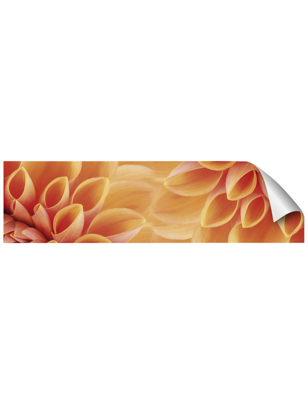 mySPOTTI Küchenrückwand-Panel, fixy, Blüte, 220x60 cm