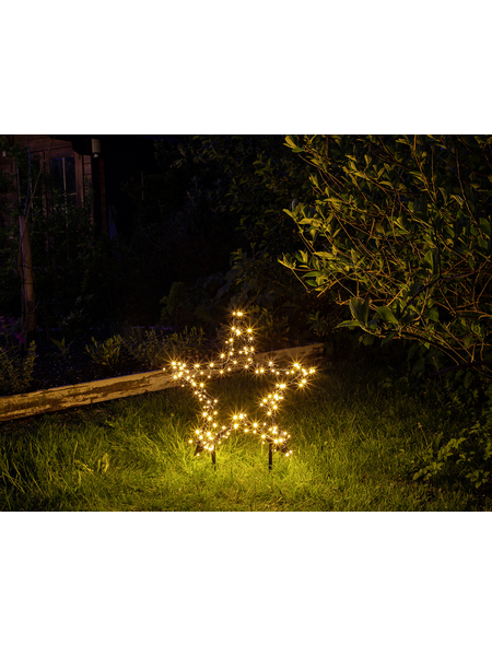 CASAYA LED-Gartenstecker »Garden d'light«, sternförmig, Höhe: 73 cm, netz