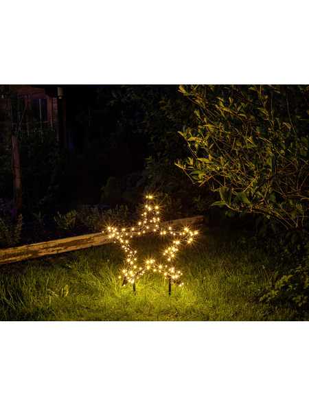 Casaya Led Gartenstecker Garden D Light Sternformig Hohe 73 Cm Netzbetrieb Hagebau De