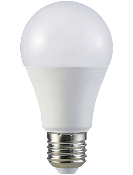 CASAYA LED-Leuchtmittel, 10 W, E27, 2700 K, 806 lm CASAYA LED-Leuchtmittel, 10 W, E27, 2700 K, 806 lm