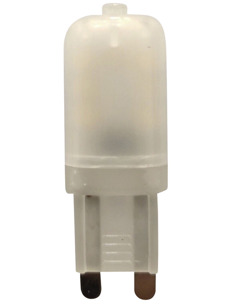 CASAYA LED-Leuchtmittel, 2 W, G9, 2700 K, warmweiß, 130 lm CASAYA LED-Leuchtmittel, 2 W, G9, 2700 K, warmweiß, 130 lm