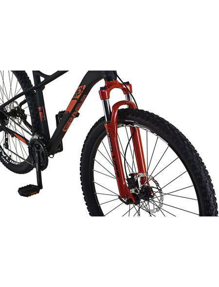 REX Mountainbike, 29 Zoll REX Mountainbike, 29 Zoll