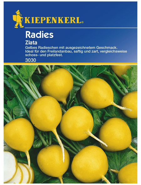 KIEPENKERL Radieschen Raphanus sativus var. sativus »Zlata« KIEPENKERL Radieschen Raphanus sativus var. sativus »Zlata«