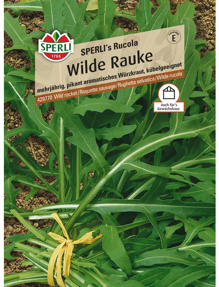 Sperli GmbH Rauke »SPERLI's Rucola«, mehrjährig, intensiv pikantes Würzkraut