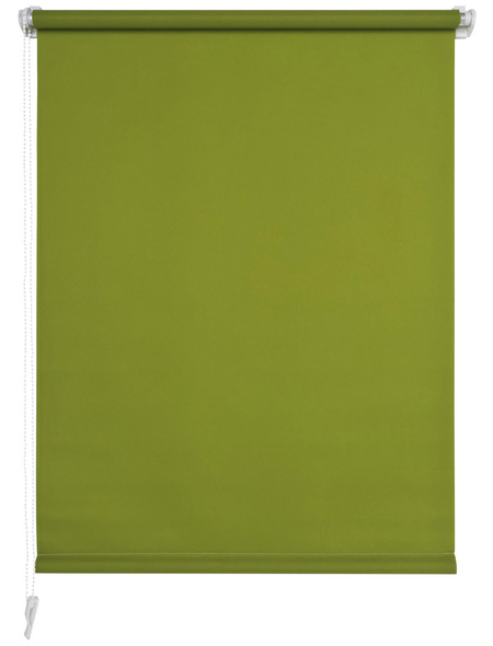 LIEDECO Rollo »Klemmfix«, grün, Polyester