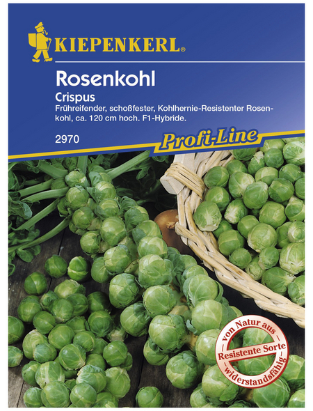 KIEPENKERL Rosenkohl oleracea Brassica