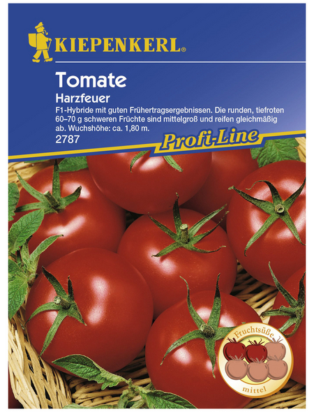KIEPENKERL Salat-Tomate lycopersicum Solanum »Harzfeuer«