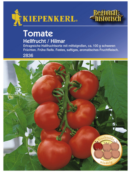 KIEPENKERL Salat-Tomate lycopersicum Solanum »Hilmar«