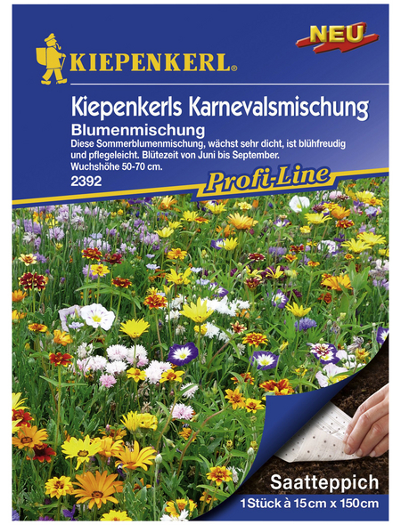 KIEPENKERL Samenmaier Beet-Box "Blüten aufs Teller!"