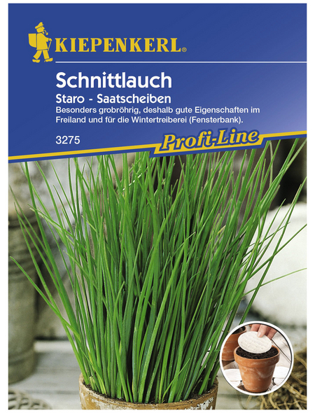 KIEPENKERL Schnittlauch schoenoprasum Allium »Staro«