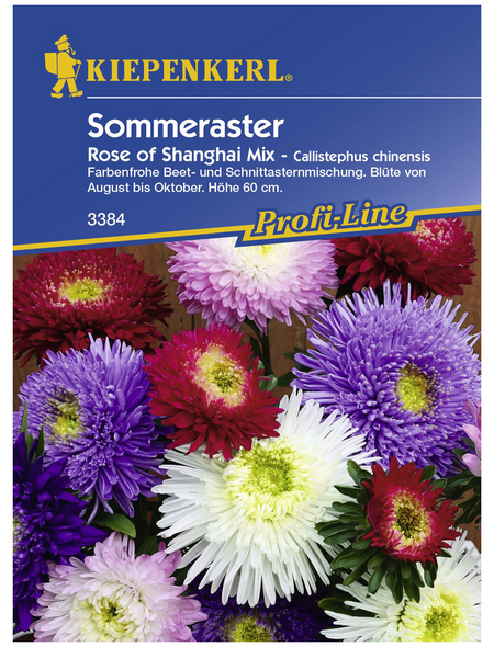 KIEPENKERL Sommeraster, Callistephus chinensis, Samen, Blüte: mehrfarbig