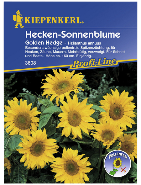 KIEPENKERL Sonnenblume, Helianthus annuus, Samen, Blüte: gelb