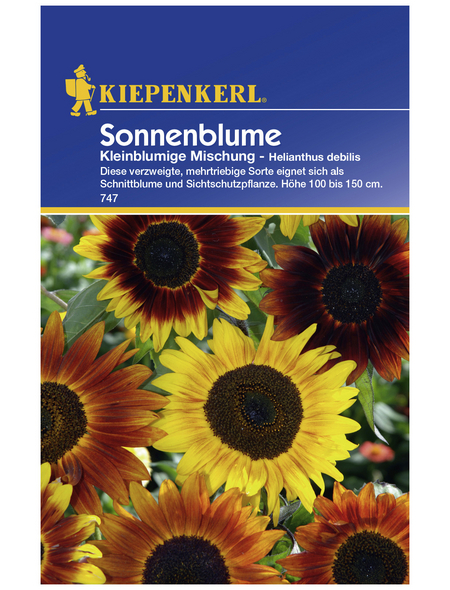 Kiepenkerl Sonnenblume Helianthus Debilis Samen Blute Mehrfarbig Hagebau De