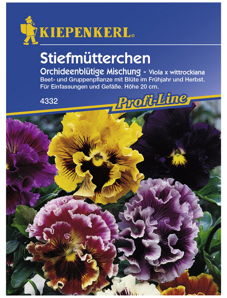Kiepenkerl Stiefmutterchen Viola X Wittrockiana Samen Blute Mehrfarbig Hagebau De
