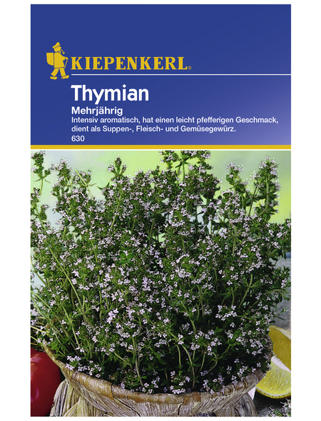 KIEPENKERL Thymian vulgaris Thymus