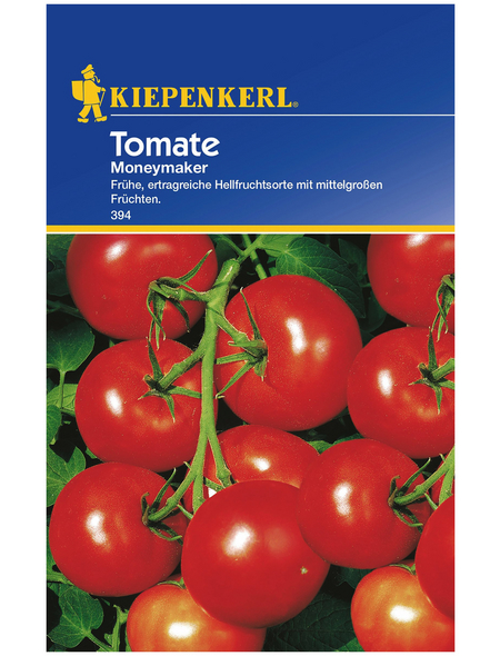 KIEPENKERL Tomate, (Salat) Solanum lycopersicum »Moneymaker«