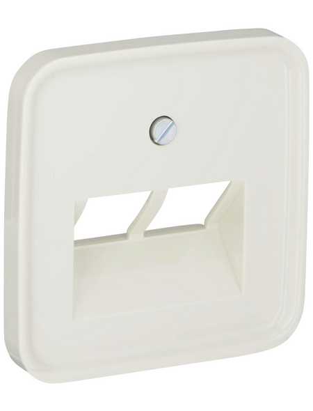 Busch-Jaeger UAE-Anschlussdose Mit Schrägauslass - Profi-Dosen Für Netzwerk & Telefon