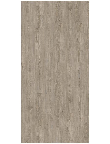 DECOLIFE Vinylboden, Holz-Optik, grau, BxL: 185 x 1220 mm