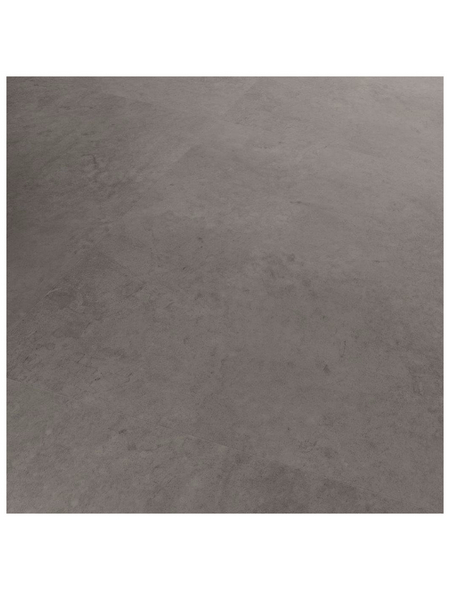 SLY Vinylboden »Square«, BxLxS: 600 x 600 x 8 mm, grau