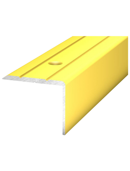 CARL PRINZ Winkelprofil Alu gold 1000 x 24,5 x 20 mm CARL PRINZ Winkelprofil Alu gold 1000 x 24,5 x 20 mm