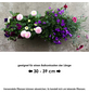 BLUMIXX Blumenbag Frühling, Blütenfarbe: gemischt, min. Länge: 40 cm-Thumbnail