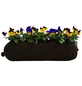 BLUMIXX Blumenbag Hornveilchen, Viola cornuta, Blütenfarbe: gemischt, min. Länge: 40 cm-Thumbnail