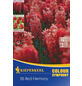  Blumenmischung »Red Harmony«, 26 Stück-Thumbnail