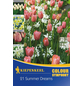  Blumenmischung »Summer Dreams«, 21 Stück-Thumbnail