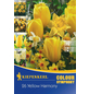  Blumenmischung »Yellow Harmony«, 26 Stück-Thumbnail